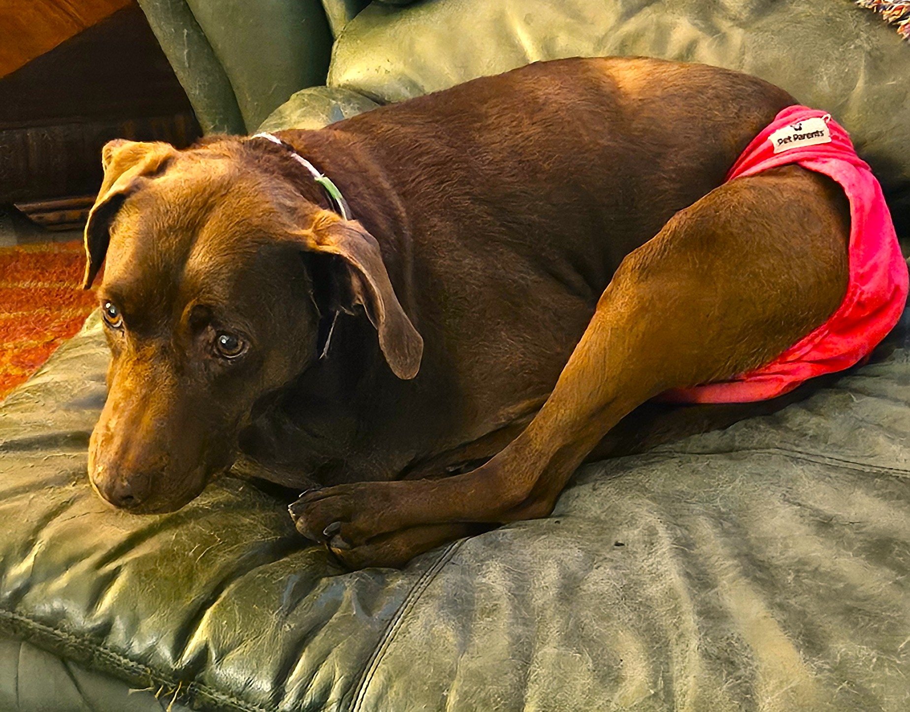 Clementine in her pink underwear.