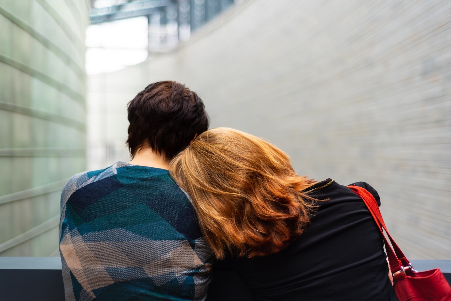 Building Stronger Connections With Our Pets